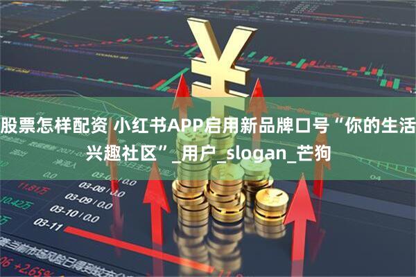 股票怎样配资 小红书APP启用新品牌口号“你的生活兴趣社区”_用户_slogan_芒狗