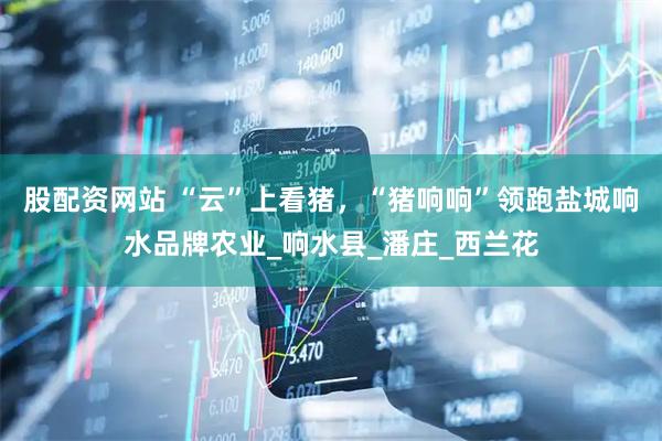 股配资网站 “云”上看猪，“猪响响”领跑盐城响水品牌农业_响水县_潘庄_西兰花